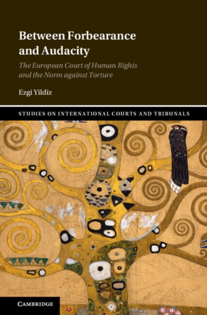 Between Forbearance and Audacity : The European Court of Human Rights and the Norm against Torture, Hardback Book