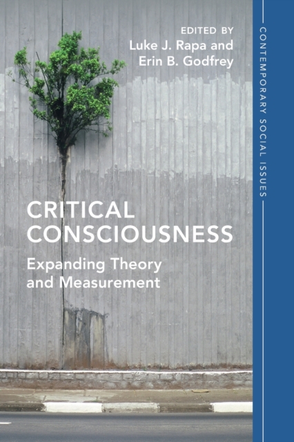 Critical Consciousness : Expanding Theory and Measurement, Paperback / softback Book