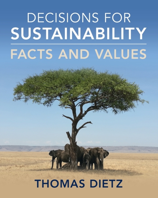Decisions for Sustainability : Facts and Values, Paperback / softback Book