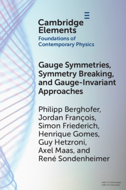 Gauge Symmetries, Symmetry Breaking, and Gauge-Invariant Approaches, PDF eBook