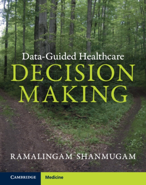Data-Guided Healthcare Decision Making, Hardback Book