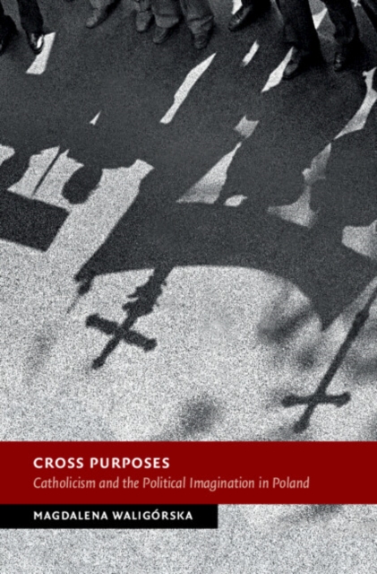 Cross Purposes : Catholicism and the Political Imagination in Poland, PDF eBook