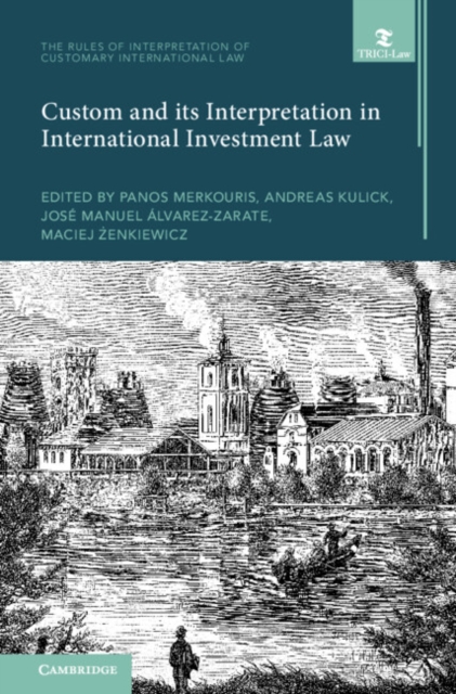 Custom and its Interpretation in International Investment Law: Volume 2, Hardback Book