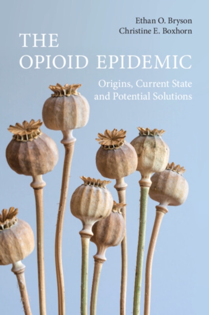 Opioid Epidemic : Origins, Current State and Potential Solutions, EPUB eBook