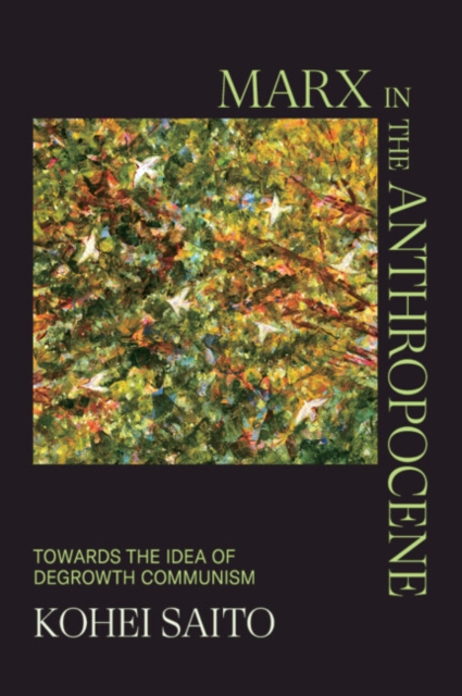 Marx in the Anthropocene : Towards the Idea of Degrowth Communism, PDF eBook