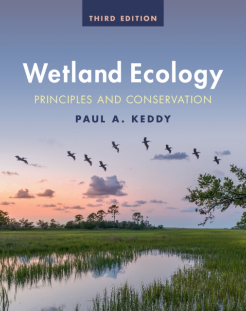 Wetland Ecology : Principles and Conservation, Hardback Book