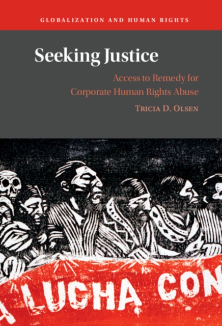 Seeking Justice : Access to Remedy for Corporate Human Rights Abuse, EPUB eBook