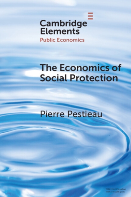The Economics of Social Protection, Paperback / softback Book