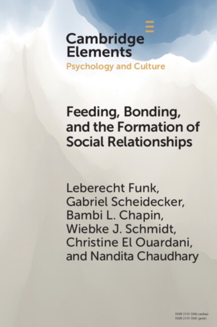 Feeding, Bonding, and the Formation of Social Relationships : Ethnographic Challenges to Attachment Theory and Early Childhood Interventions, Paperback / softback Book