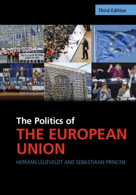 The Politics of the European Union, Paperback / softback Book