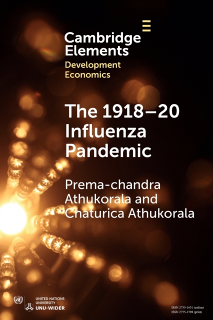 The 1918–20 Influenza Pandemic : A Retrospective in the Time of COVID-19, Paperback / softback Book