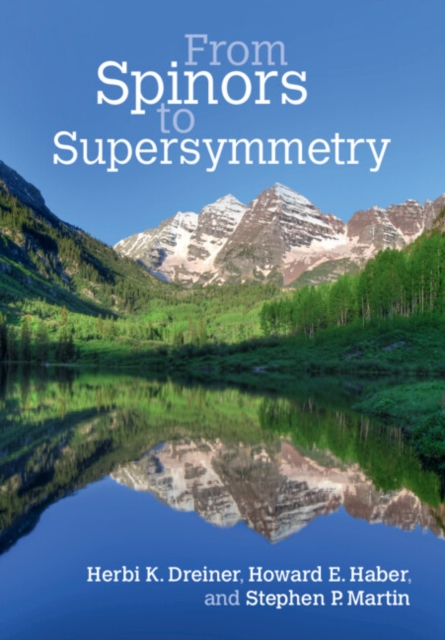 From Spinors to Supersymmetry, PDF eBook