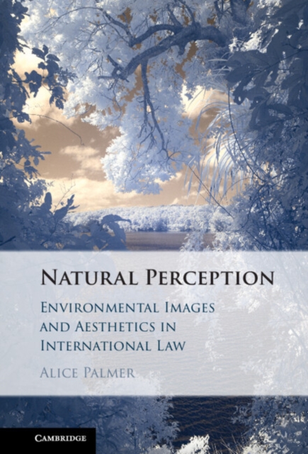 Natural Perception : Environmental Images and Aesthetics in International Law, EPUB eBook