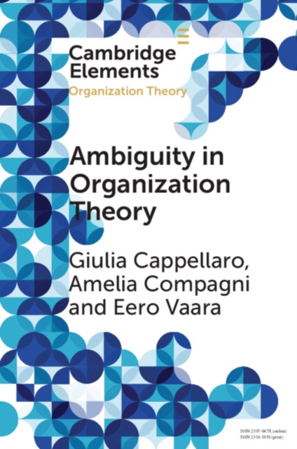 Ambiguity in Organization Theory : From Intrinsic to Strategic Perspectives, PDF eBook