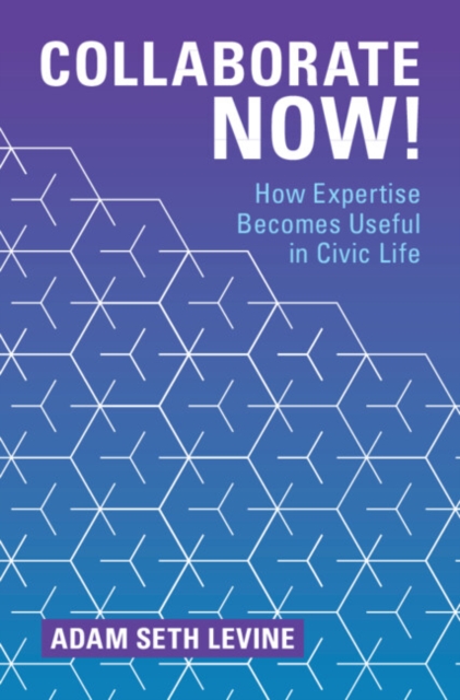 Collaborate Now! : How Expertise Becomes Useful in Civic Life, PDF eBook