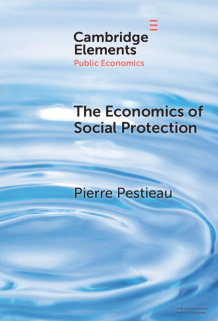 The Economics of Social Protection, Hardback Book
