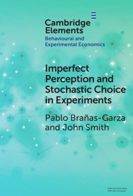 Imperfect Perception and Stochastic Choice in Experiments, Hardback Book