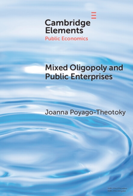 Mixed Oligopoly and Public Enterprises, Hardback Book