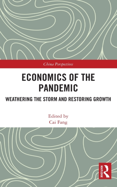 Economics of the Pandemic : Weathering the Storm and Restoring Growth, Hardback Book