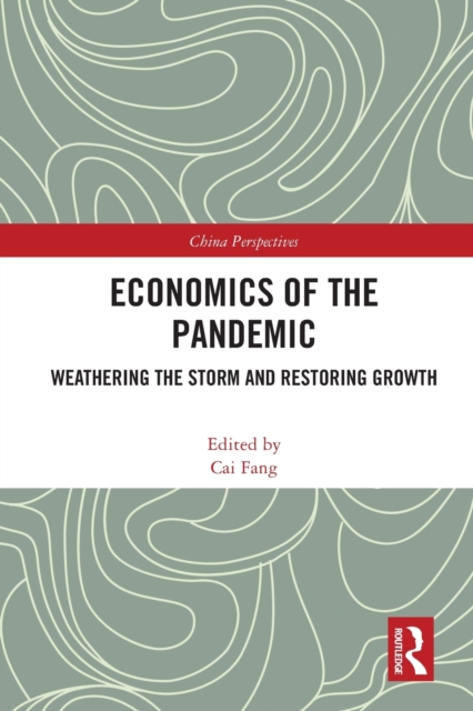 Economics of the Pandemic : Weathering the Storm and Restoring Growth, Paperback / softback Book