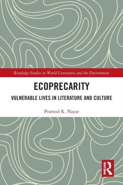 Ecoprecarity : Vulnerable Lives in Literature and Culture, Paperback / softback Book
