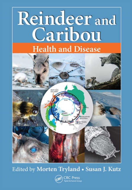 Reindeer and Caribou : Health and Disease, Paperback / softback Book