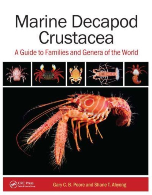 Marine Decapod Crustacea : A Guide to Families and Genera of the World, Hardback Book