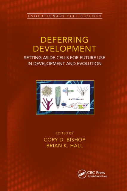 Deferring Development : Setting Aside Cells for Future Use in Development and Evolution, Paperback / softback Book