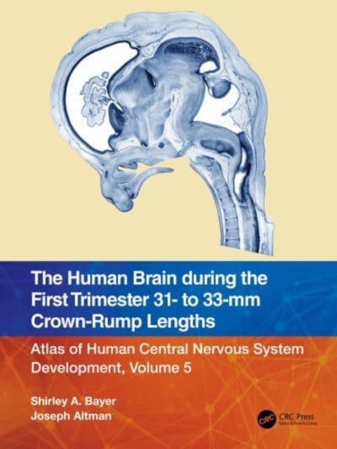 The Human Brain during the First Trimester 31- to 33-mm Crown-Rump Lengths : Atlas of Human Central Nervous System Development, Volume 5, Paperback / softback Book