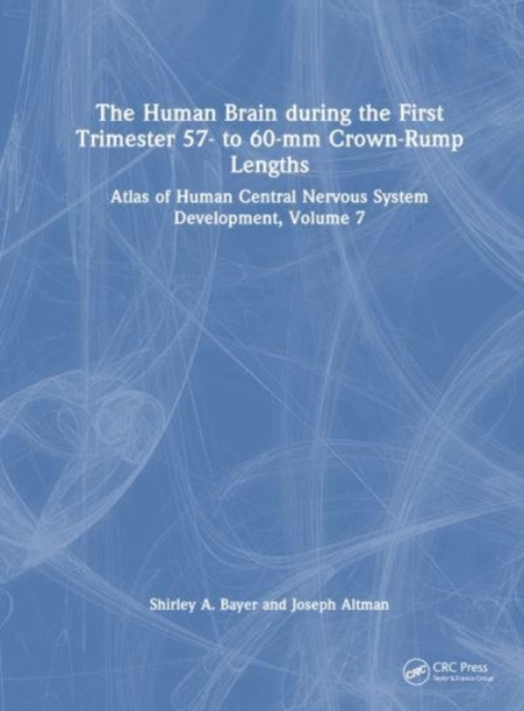 The Human Brain during the First Trimester 57- to 60-mm Crown-Rump Lengths : Atlas of Human Central Nervous System Development, Volume 7, Hardback Book