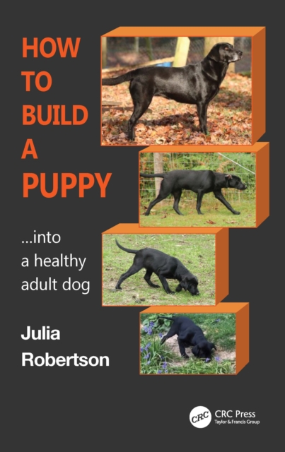 How to Build a Puppy : Into a Healthy Adult Dog, Paperback / softback Book