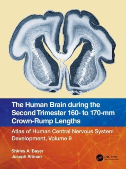 The Human Brain during the Second Trimester 160– to 170–mm Crown-Rump Lengths : Atlas of Human Central Nervous System Development, Volume 9, Paperback / softback Book