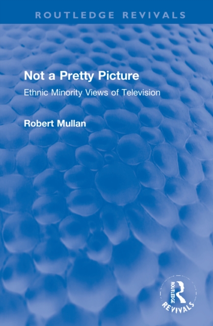 Not a Pretty Picture : Ethnic Minority Views of Television, Hardback Book