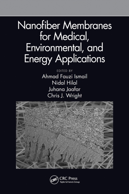 Nanofiber Membranes for Medical, Environmental, and Energy Applications, Paperback / softback Book