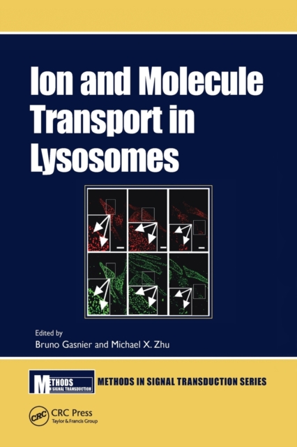 Ion and Molecule Transport in Lysosomes, Paperback / softback Book