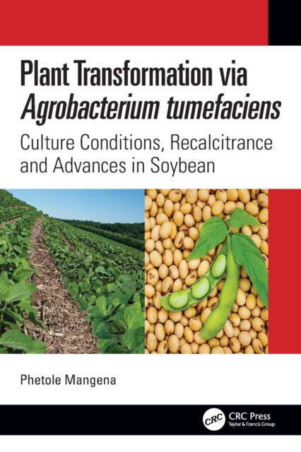 Plant Transformation via Agrobacterium Tumefaciens : Culture Conditions, Recalcitrance and Advances in Soybean, Paperback / softback Book