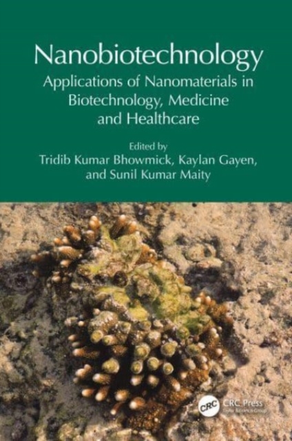 Nanobiotechnology : Applications of Nanomaterials in Biotechnology, Medicine and Healthcare, Hardback Book