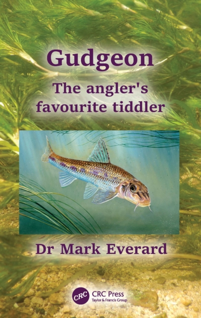 Gudgeon : The angler's favourite tiddler, Paperback / softback Book