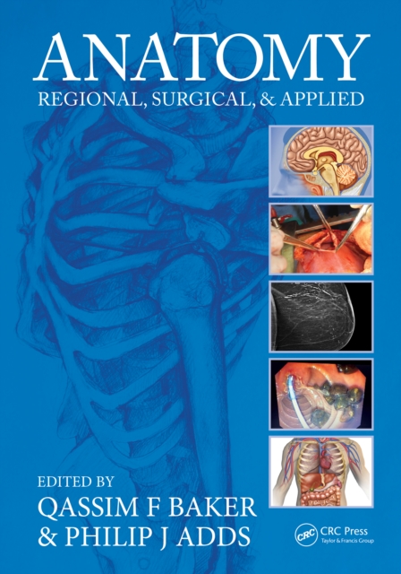 Anatomy : Regional, Surgical, and Applied, Paperback / softback Book