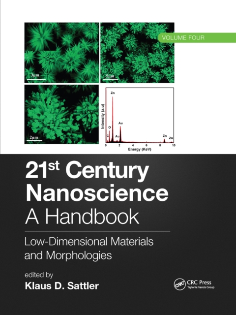 21st Century Nanoscience – A Handbook : Low-Dimensional Materials and Morphologies (Volume Four), Paperback / softback Book