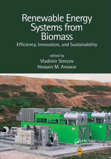 Renewable Energy Systems from Biomass : Efficiency, Innovation and Sustainability, Paperback / softback Book