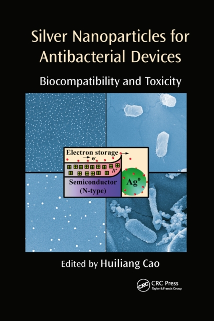 Silver Nanoparticles for Antibacterial Devices : Biocompatibility and Toxicity, Paperback / softback Book