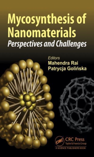 Mycosynthesis of Nanomaterials : Perspectives and Challenges, Hardback Book