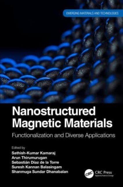 Nanostructured Magnetic Materials : Functionalization and Diverse Applications, Hardback Book