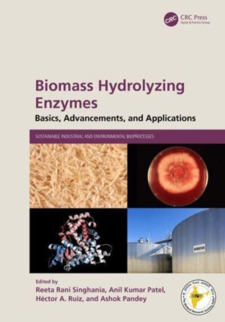 Biomass Hydrolyzing Enzymes : Basics, Advancements, and Applications, Hardback Book