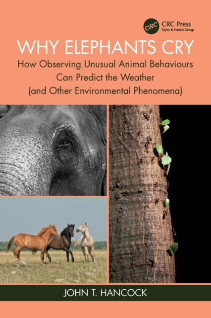 Why Elephants Cry : How Observing Unusual Animal Behaviours Can Predict the Weather (and Other Environmental Phenomena), Paperback / softback Book