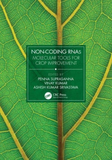 Non-Coding RNAs : Molecular Tools for Crop Improvement, Hardback Book
