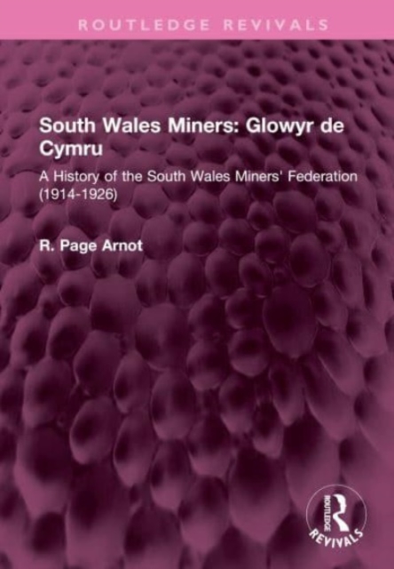 South Wales Miners: Glowyr de Cymru : A History of the South Wales Miners' Federation (1914-1926), Hardback Book