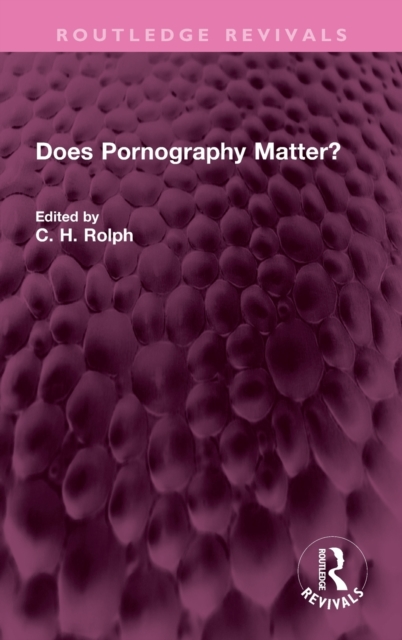 Does Pornography Matter?, Hardback Book