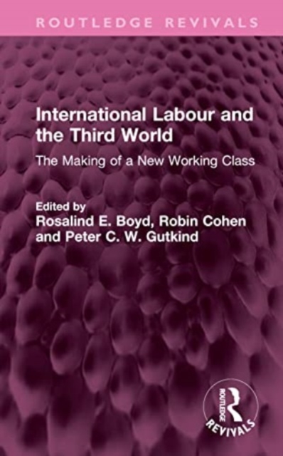 International Labour and the Third World : The Making of a New Working Class, Hardback Book